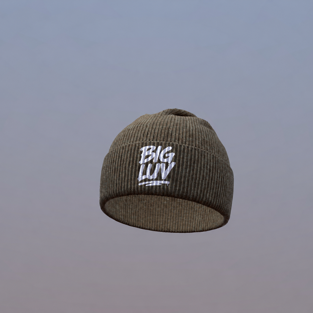 PRE ORDER BIG LUV × BIG TRIP Beanie