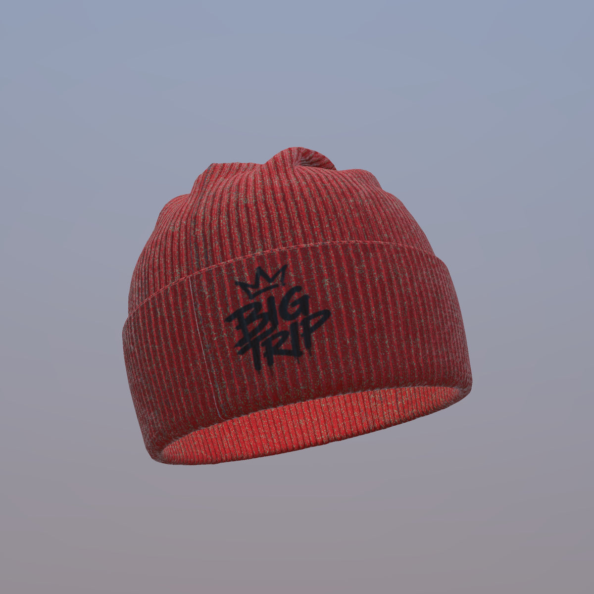PRE ORDER BIG LUV × BIG TRIP Beanie