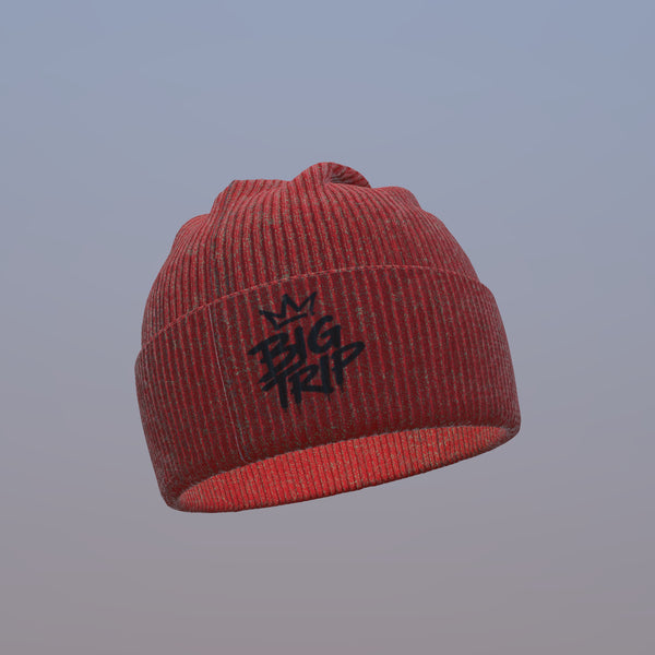 PRE ORDER BIG LUV × BIG TRIP Beanie