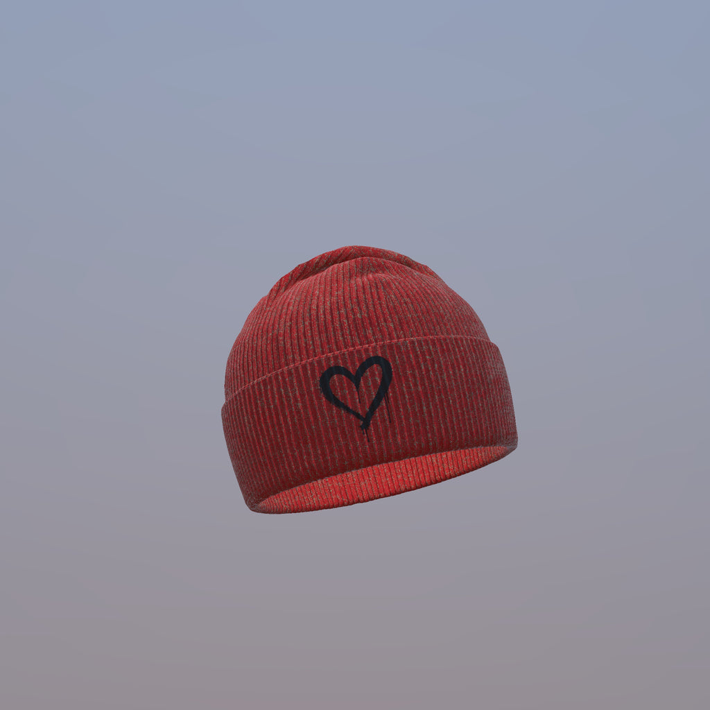 PRE ORDER BIG LUV × BIG TRIP Beanie